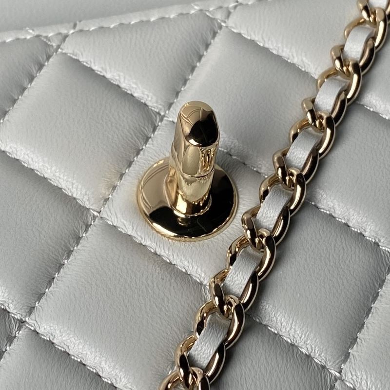 Chanel WOC Bags